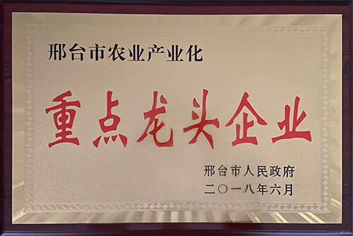 2025新澳门原科网站