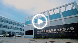 2025新澳门原科网站