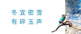 2025新澳门原科网站