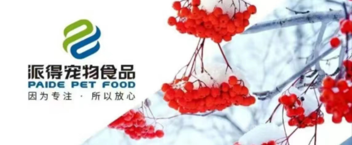 2025新澳门原科网站