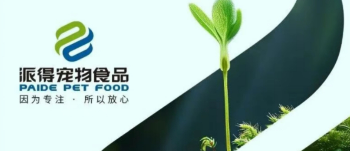 2025新澳门原科网站