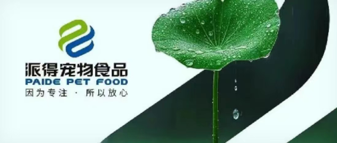 2025新澳门原科网站