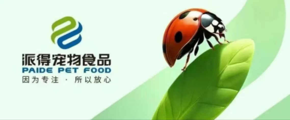 2025新澳门原科网站
