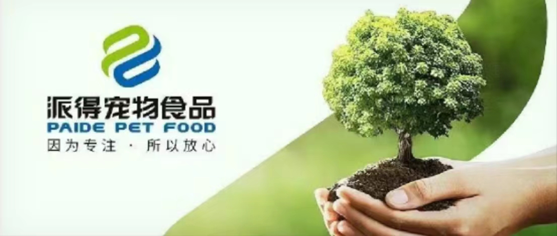 2025新澳门原科网站