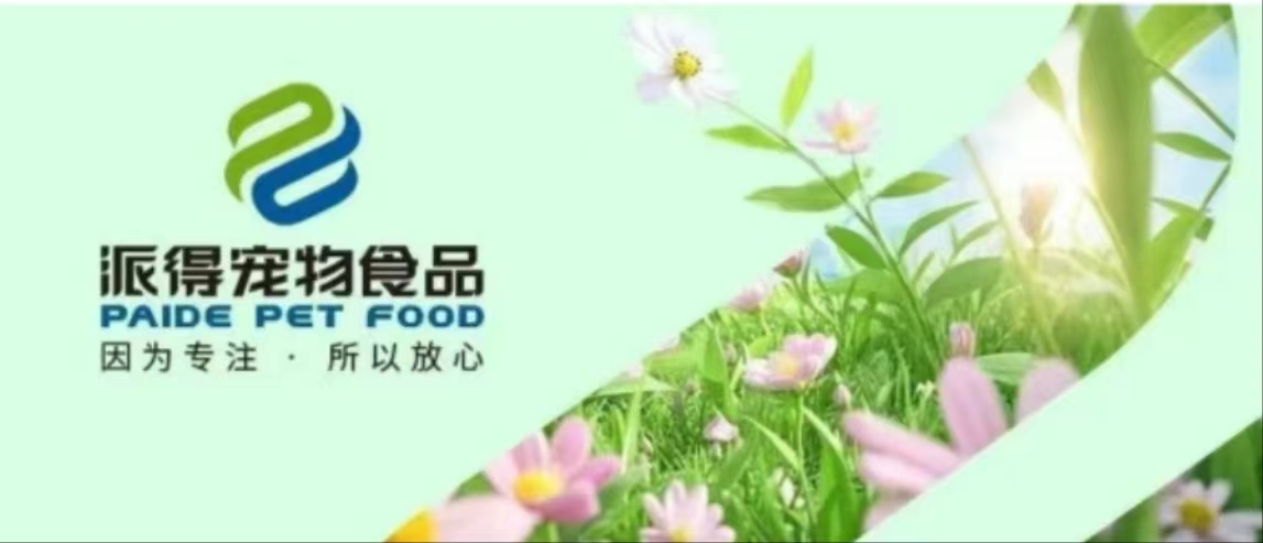 2025新澳门原科网站