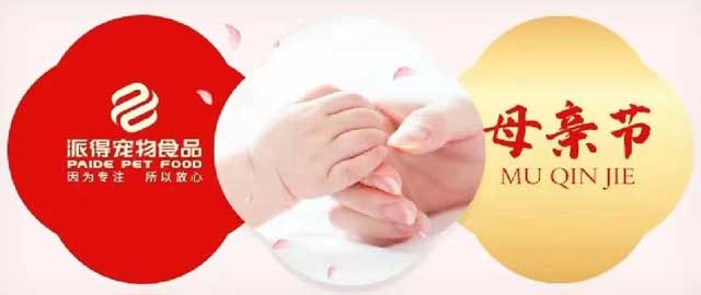 2025新澳门原科网站