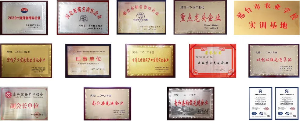 2025新澳门原科网站