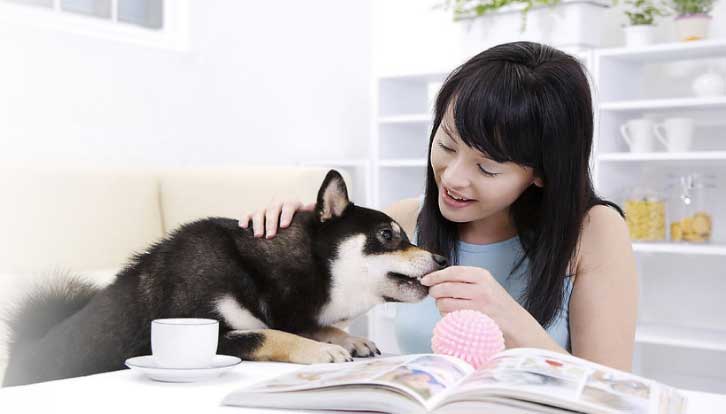 2025新澳门原科网站